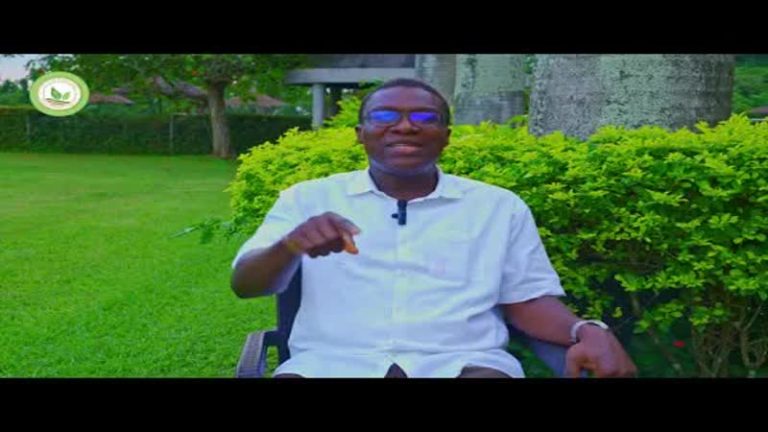 Documentary on the Fasola Agribusiness Industrial Hub, Oyo State #agriculture #agribusiness